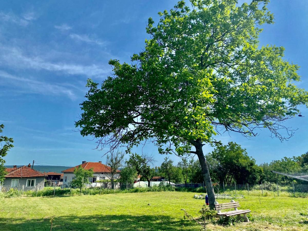 Caravans 10 Min To Tsonevo Lake & 35 Min To Black Sea Exterior foto
